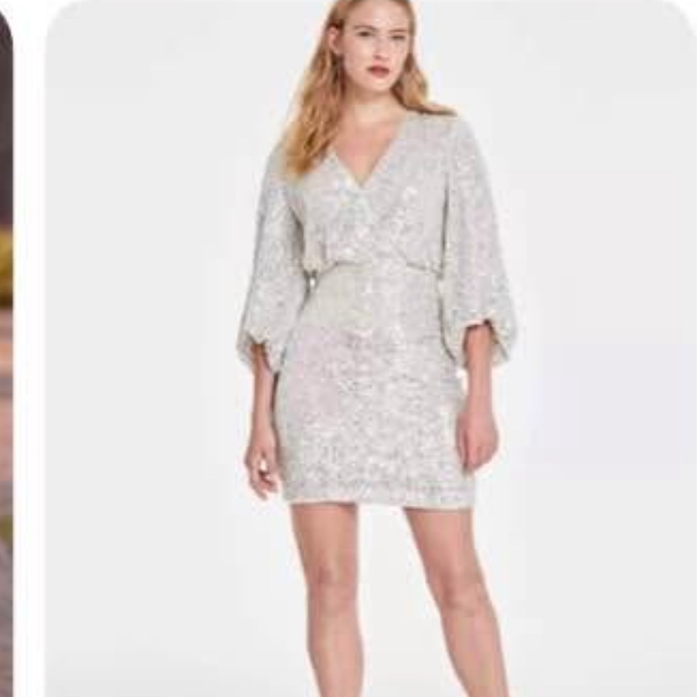 Macy's Silver Sequin Dress